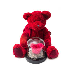Love Teddy Bear