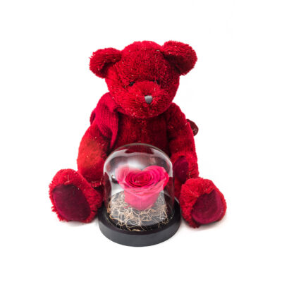 Love Teddy Bear